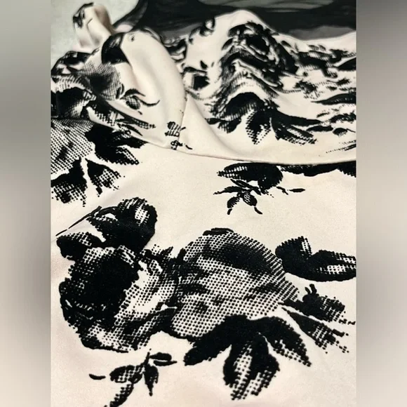 Baby Pink and Black Rosette Mesh Dress - Picture 5 of 6